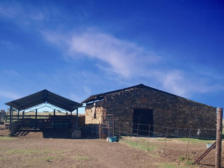 4 Bedroom Property for Sale in Senekal Rural Free State